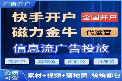 SEM代运营公司案例分析报告
